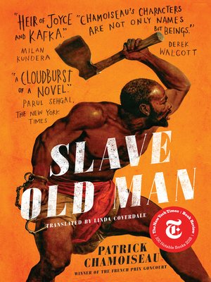 cover image of Slave Old Man